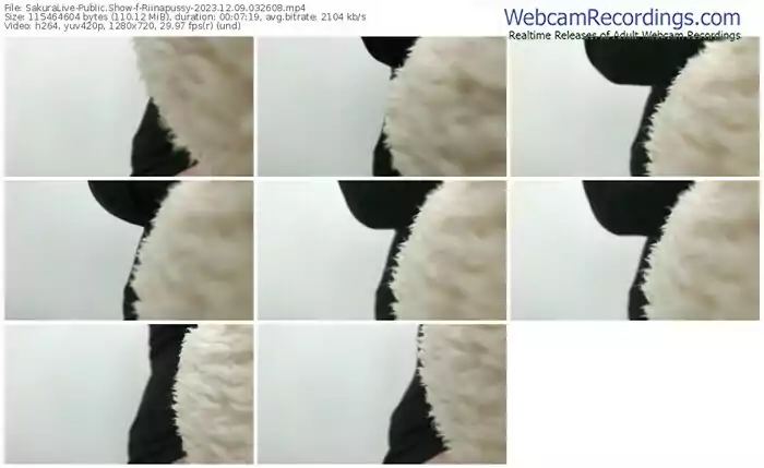 sakuralive-riinapussy-12-09-2023-03-26-08