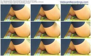 sakuralive-hiyokosss-01-24-2024-17-53-37