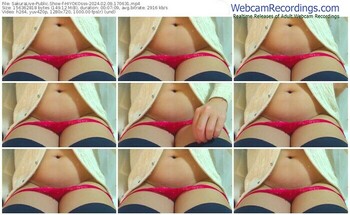 sakuralive-hiyokosss-02-09-2024-17-06-31