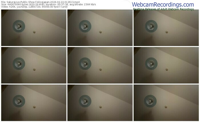 sakuralive-alicejapan-02-22-2024-01-26-13