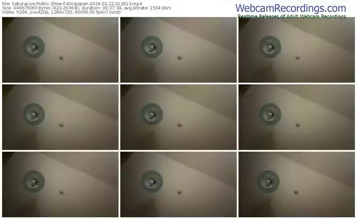 sakuralive-alicejapan-02-22-2024-01-26-13