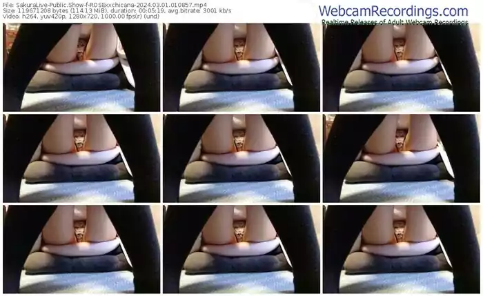 sakuralive-rosexxchicana-03-01-2024-01-08-57