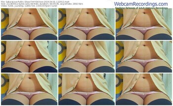 sakuralive-hiyokosss-04-01-2024-12-29-12