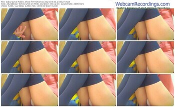 sakuralive-hiyokosss-04-05-2024-14-30-27