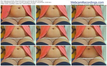 sakuralive-hiyokosss-04-05-2024-20-47-48