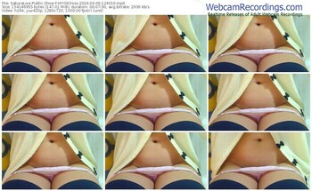 sakuralive-hiyokosss-04-09-2024-12-40-10