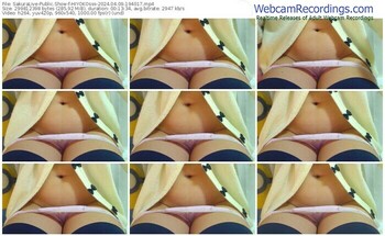 sakuralive-hiyokosss-04-09-2024-19-40-17