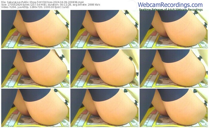 sakuralive-hiyokosss-04-09-2024-20-08-38