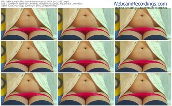 sakuralive-hiyokosss-04-10-2024-20-28-17