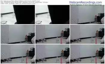 sakuralive-meisas-04-11-2024-19-03-55