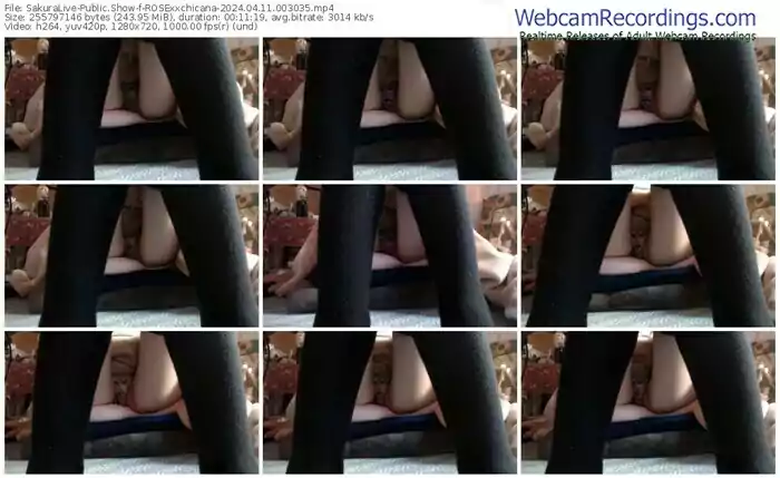 sakuralive-rosexxchicana-04-11-2024-00-30-35