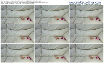 sakuralive-oxrinxoo-04-11-2024-16-58-08