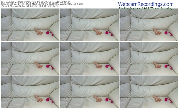 sakuralive-oxrinxoo-04-11-2024-16-58-08