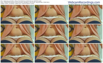 sakuralive-hiyokosss-04-12-2024-18-29-03