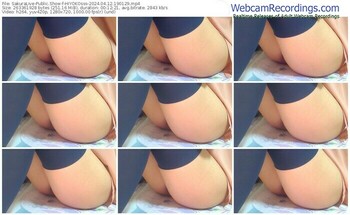 sakuralive-hiyokosss-04-12-2024-19-01-29