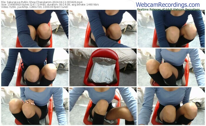 sakuralive-harukannn-04-12-2024-00-34-26