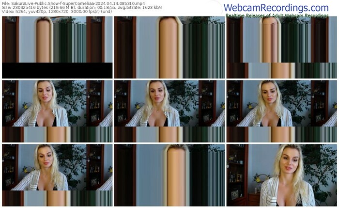 sakuralive-supercorneliaa-04-14-2024-08-53-10