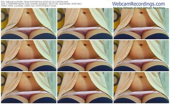 sakuralive-hiyokosss-04-15-2024-10-29-24