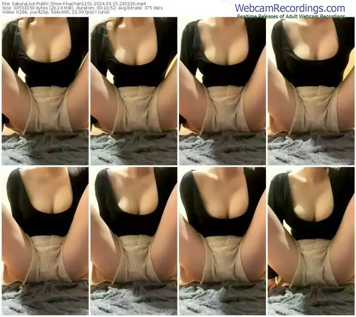 sakuralive-hachan1101-04-15-2024-23-02-29