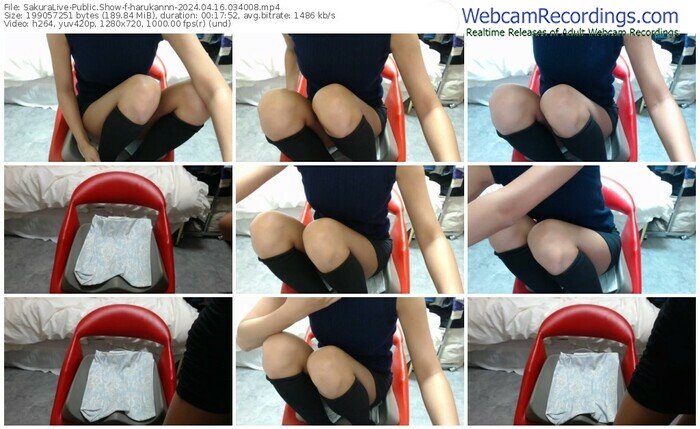 sakuralive-harukannn-04-16-2024-03-40-08