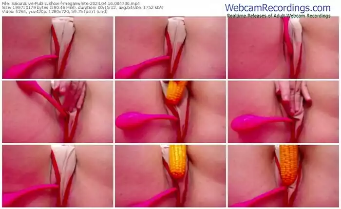 sakuralive-meganwhite-04-16-2024-08-47-30