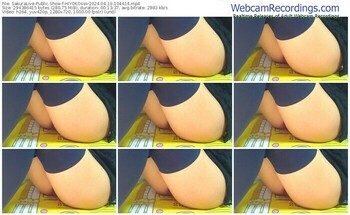 sakuralive-hiyokosss-04-19-2024-10-44-14