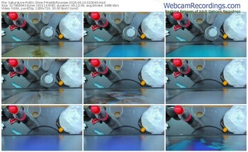 sakuralive-maddyroussee-04-19-2024-02-00-40