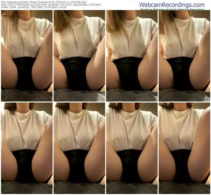 sakuralive-hachan1101-05-11-2024-23-13-28