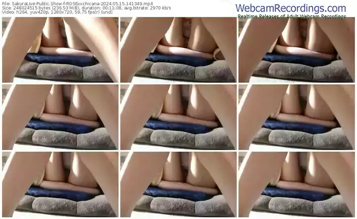 sakuralive-rosexxchicana-05-15-2024-14-13-49