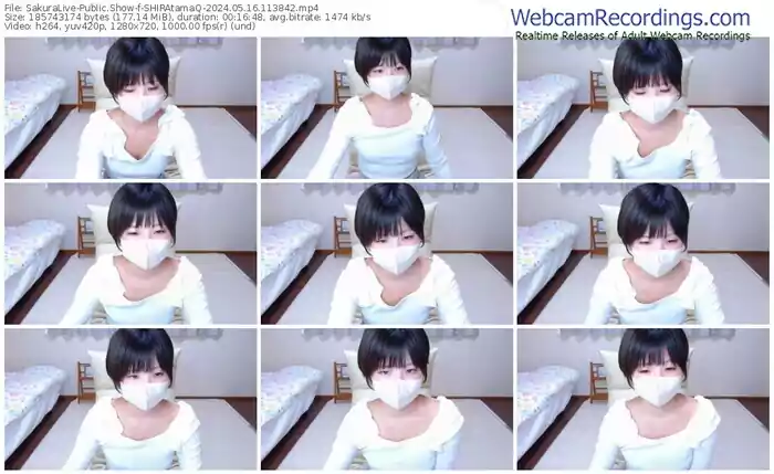 sakuralive-shiratamaq-05-16-2024-11-38-42