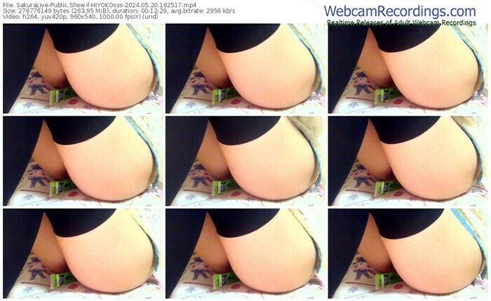 sakuralive-hiyokosss-05-20-2024-16-25-17