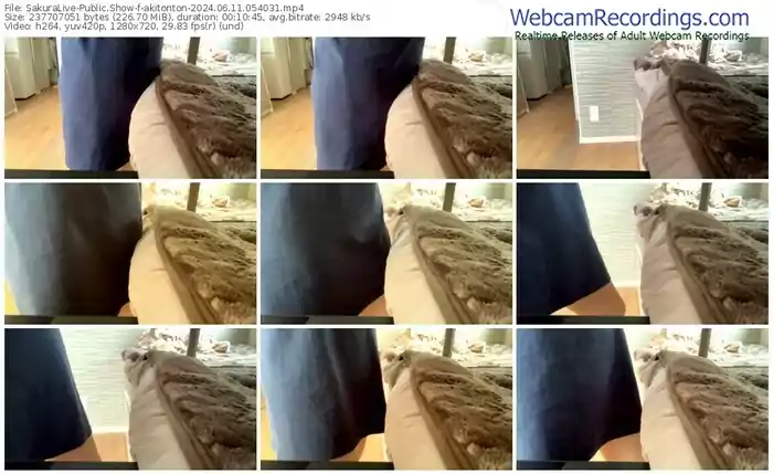 sakuralive-akitonton-06-11-2024-05-40-31