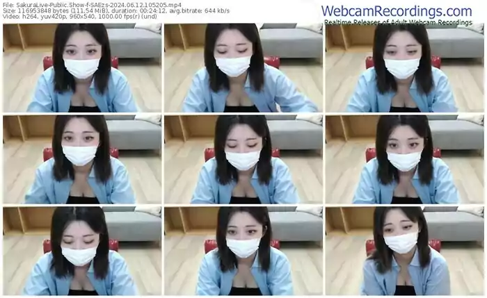 sakuralive-saezs-06-12-2024-10-52-05