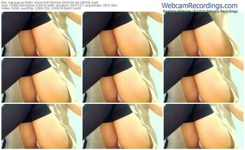 sakuralive-hiyokosss-06-18-2024-18-55-41