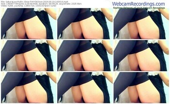 sakuralive-hiyokosss-06-19-2024-19-30-14