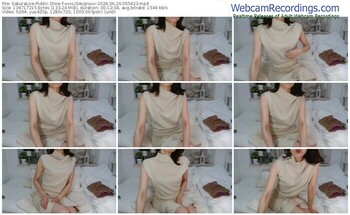 sakuralive-xxxlisavgnxxx-06-26-2024-05-54-23