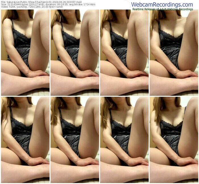 sakuralive-hachan1101-06-29-2024-03-33-37