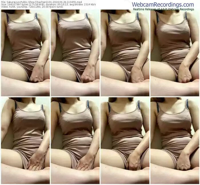 sakuralive-hachan1101-06-29-2024-11-04-55