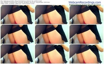 sakuralive-hiyokosss-07-01-2024-11-58-14