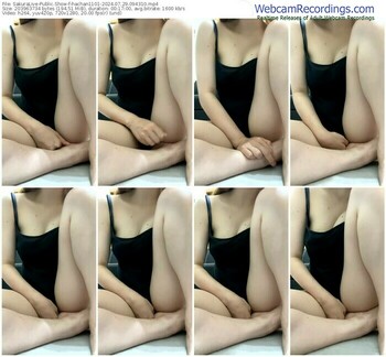 sakuralive-hachan1101-07-29-2024-09-43-10