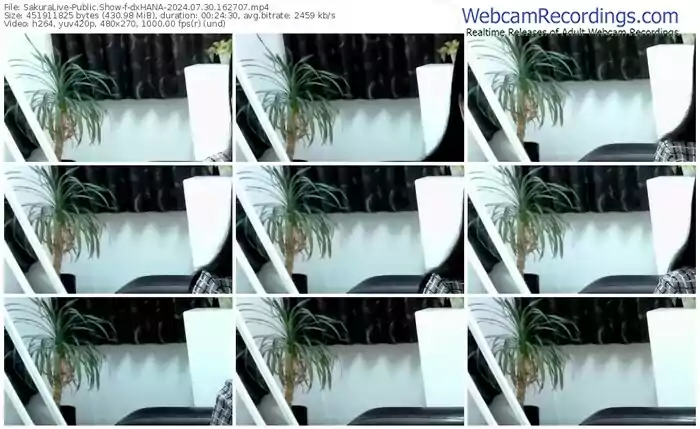 sakuralive-dxhana-07-30-2024-16-27-07
