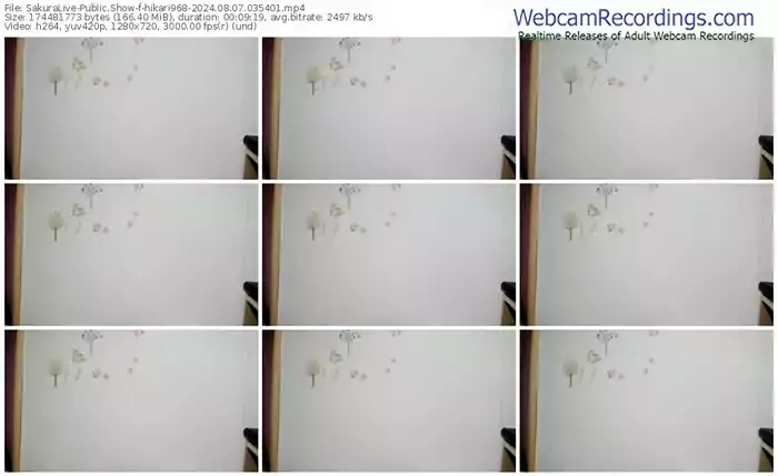 sakuralive-hikari968-08-07-2024-03-54-01