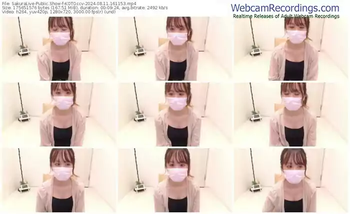 sakuralive-kotoccv-08-11-2024-16-11-53