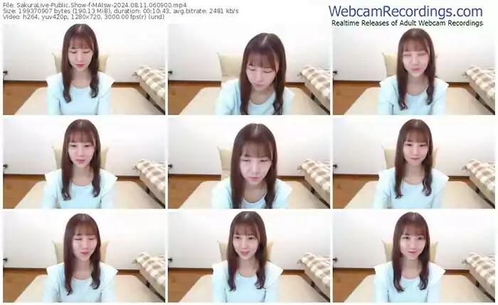 sakuralive-maisw-08-11-2024-06-09-00