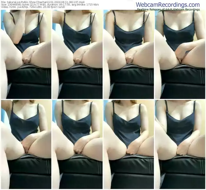 sakuralive-hachan1101-08-11-2024-08-11-07