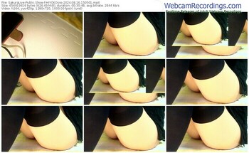 sakuralive-hiyokosss-08-16-2024-15-05-01