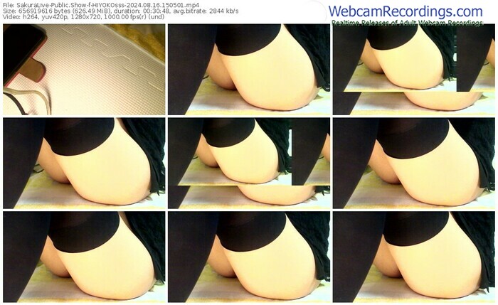 sakuralive-hiyokosss-08-16-2024-15-05-01