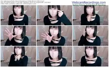 sakuralive-kohakuuxx-08-16-2024-14-48-10