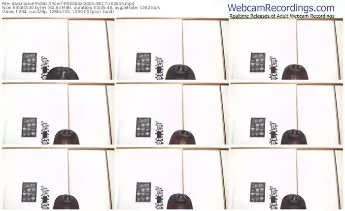 sakuralive-riisabbv-08-17-2024-16-29-55