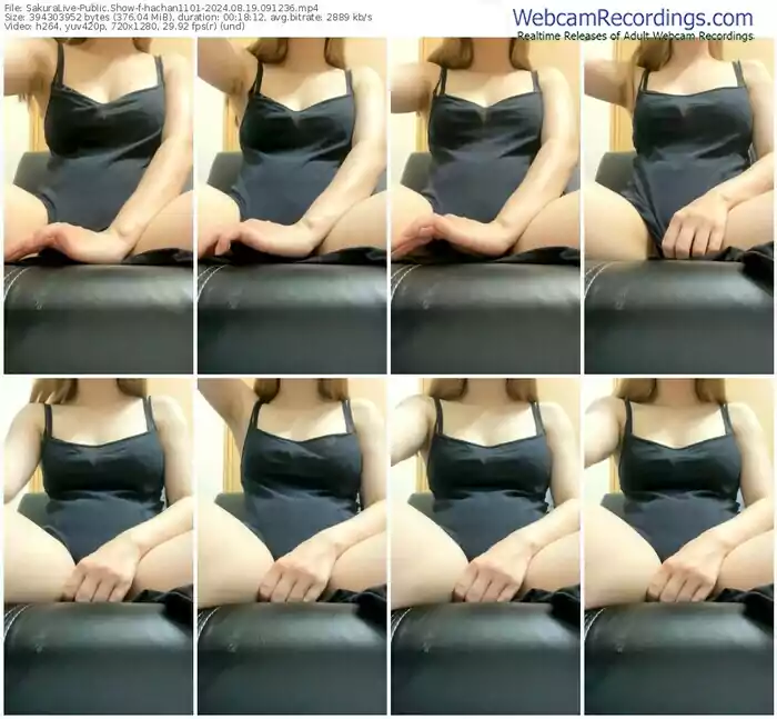 sakuralive-hachan1101-08-19-2024-09-12-36